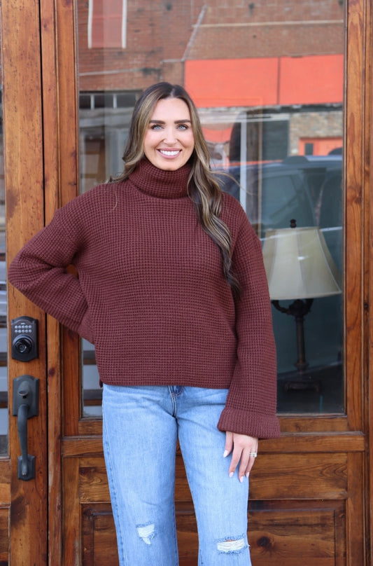 Turtleneck Oversized Knit Sweater